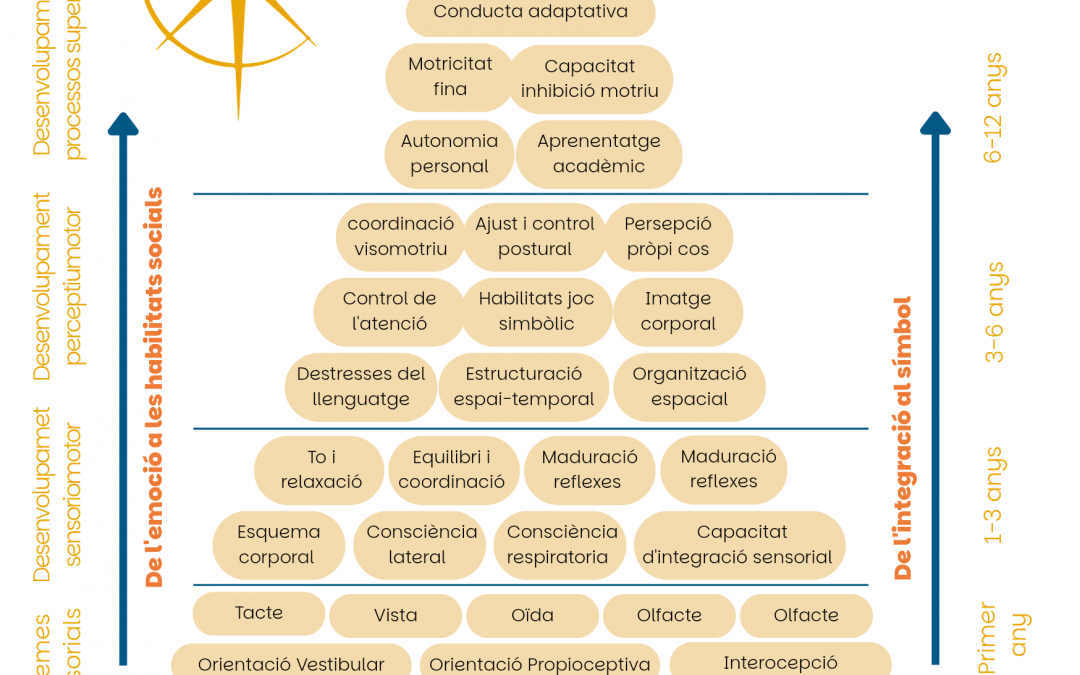 Piràmide del desenvolupament